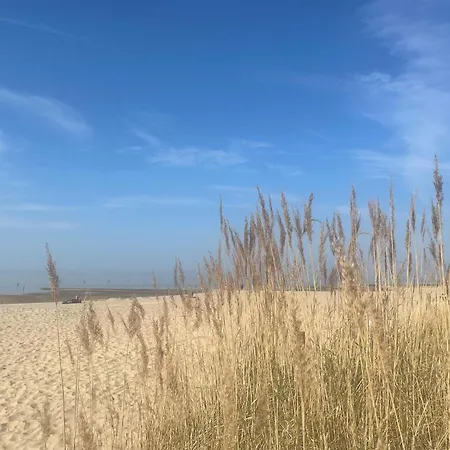 公寓 Nordseebrandung B3.1 *